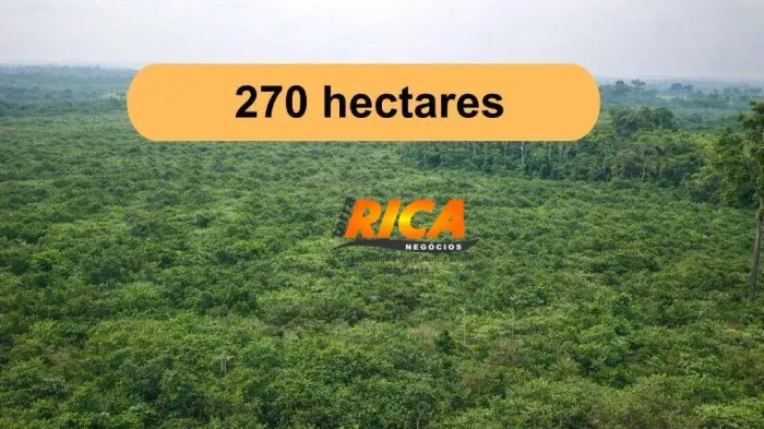 Vende-se Fazenda no Município de Cujubim-RO com 270 Hectares!