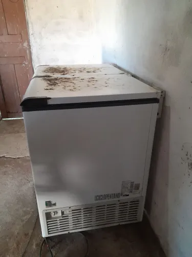 Freezer funcionando perfeitamente 