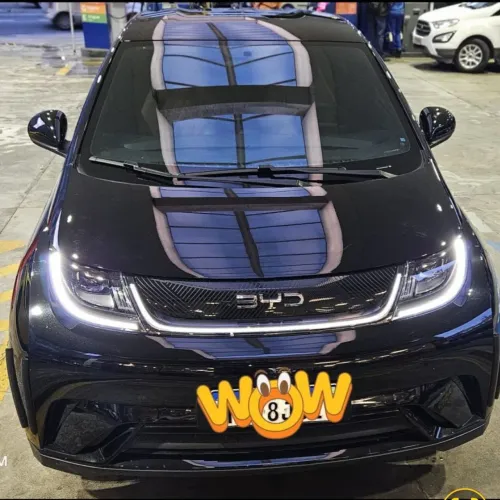 BYD Dolphin EV (Elétrico) 2026