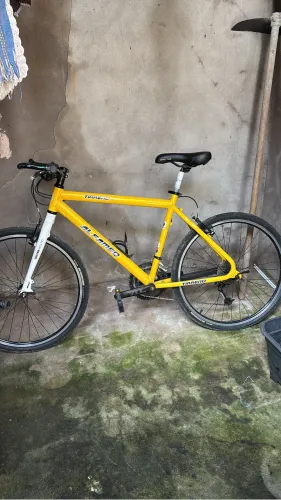 Bicicleta