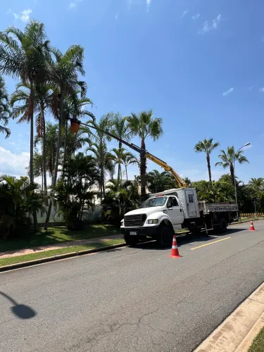Transporte Carga e Movimentação de Carga.