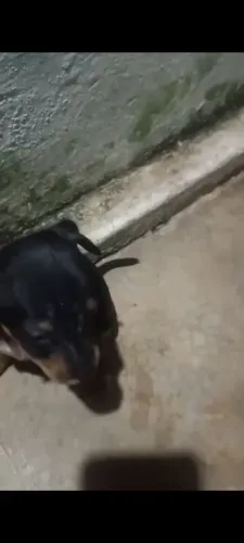 Vendas