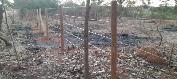 Limpeza de chácaras,lotes,cercas, herbicidas 
