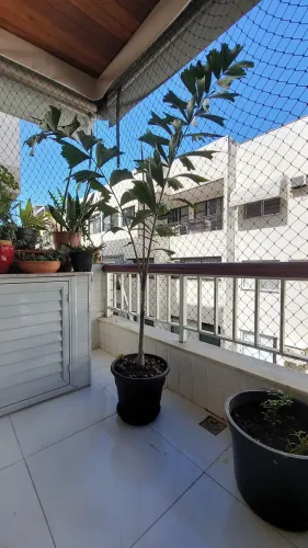 Palmeira Elegante para seu Jardim