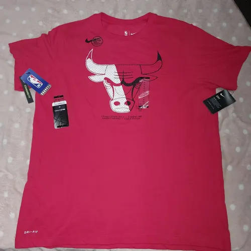 Camiseta NBA Chicago Bulls Nike Dri-Fit