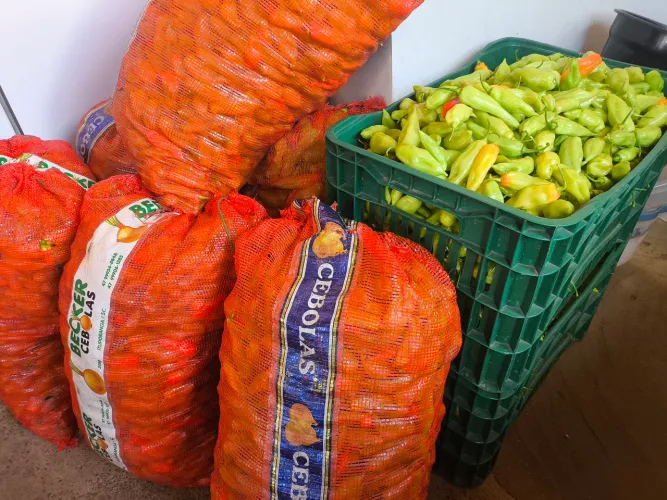 Pimenta de cheiro ATACADO