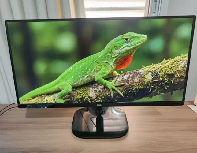 Monitor Lg Ultrawide 25 polegadas Modelo: 25um58