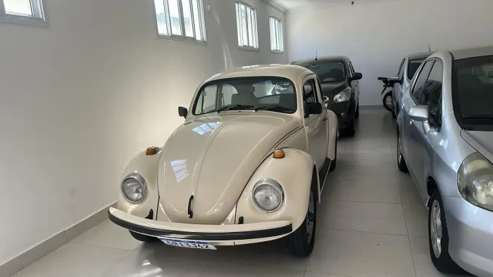 Volkswagen Fusca Fusca (gasolina) 1996