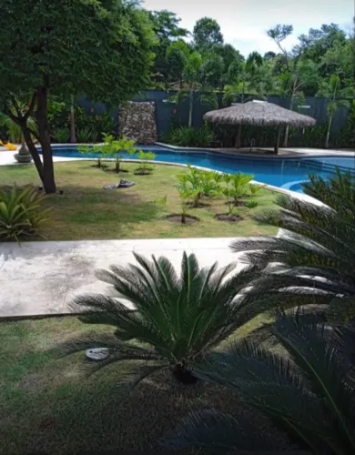 Manutenção reforma roço de terreno poda de árvore é paisagismo em geral 