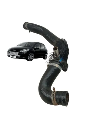 Mangueira Superior Radiador Peugeot 307 2.0 2008