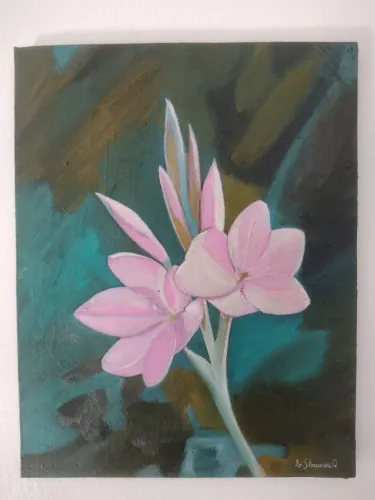 4 quadros 40x30 cm óleo sobre tela