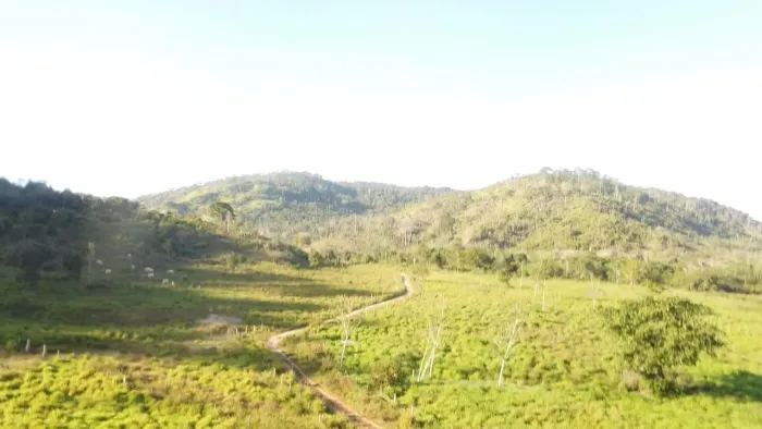 Fazenda em Sao Félix do Xingu