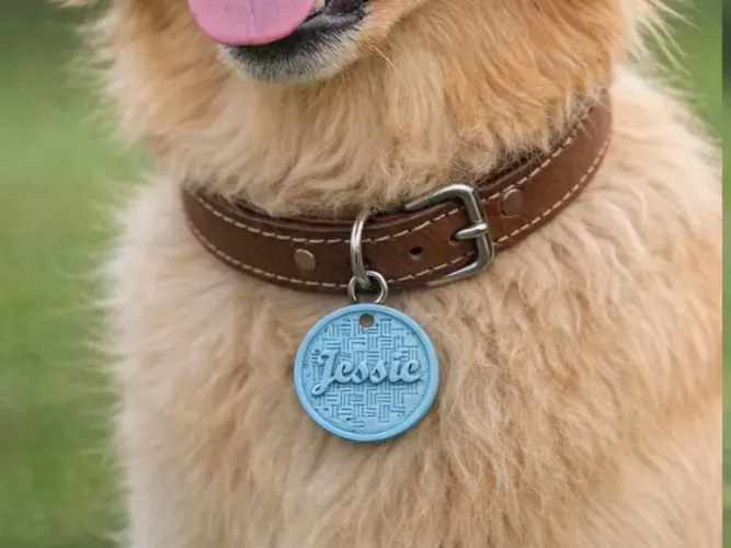 Coleira personalizada para PET