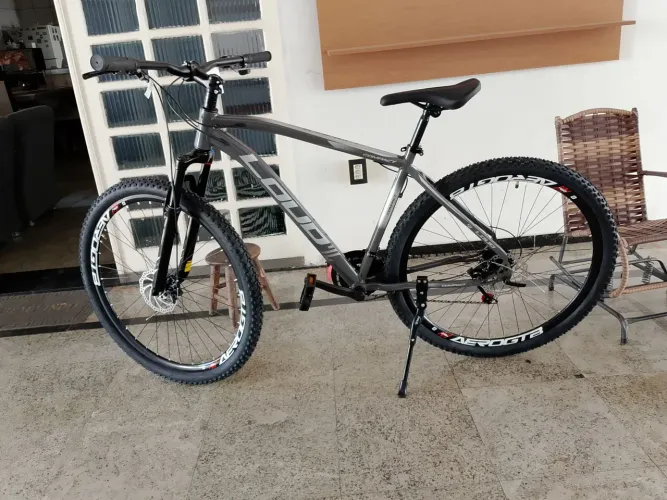 Bicicleta 29