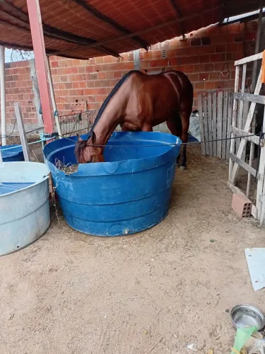 Água meio segue ja iniciana na isteira, tá de 2°muda