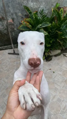 doação 