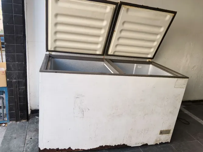 Freezer 534 l