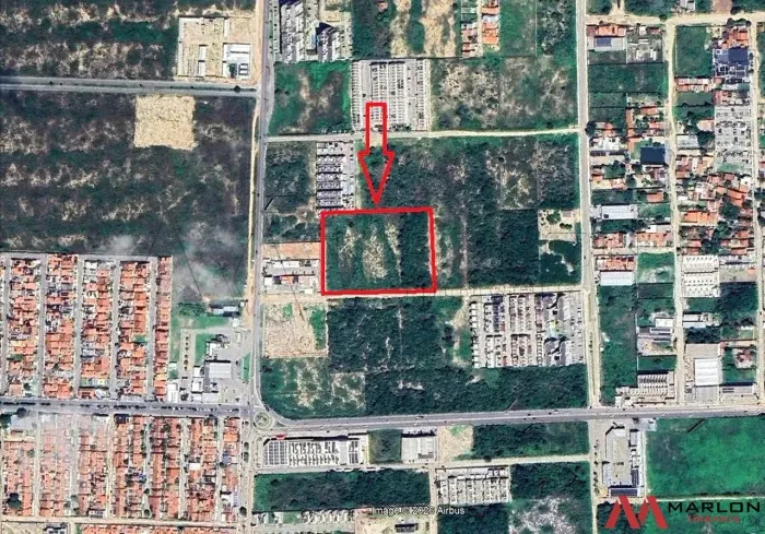 Terreno em Parque das Árvores, plano, boa localização, 5.000m².