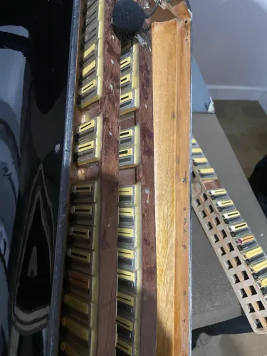 Acordeon todeschinne artist 4