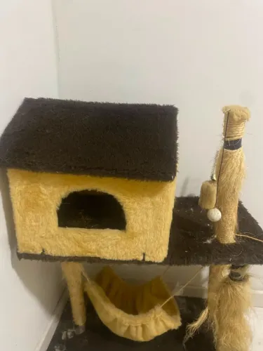Casinha de Gato