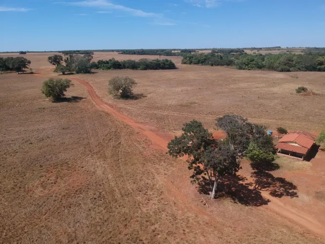 Fazenda de arrendamento no TO. 500hec no formoso do Araguaia