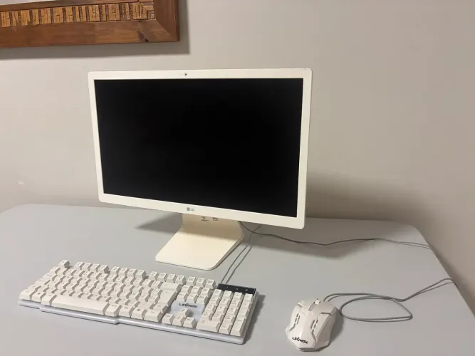 Computador LG tipo 2450