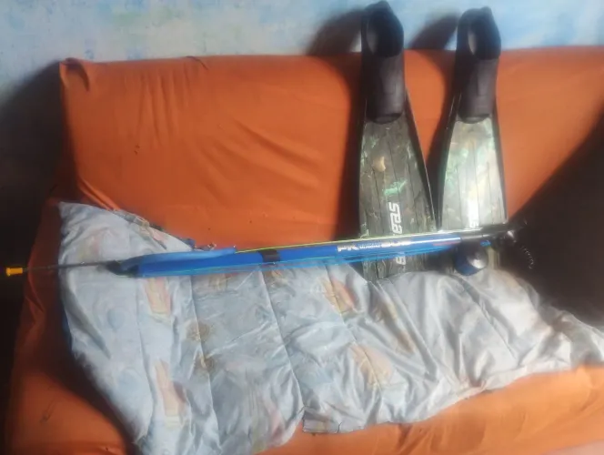 Pesca sub