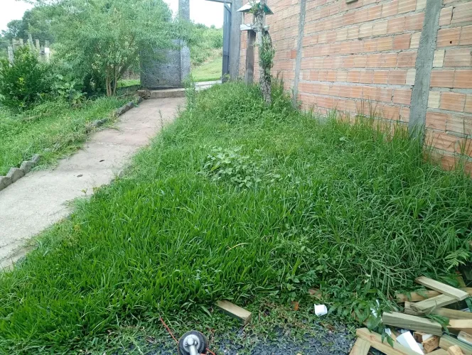 Jardinagem e limpeza de terreno em Lages - cuidar verde jardinagem