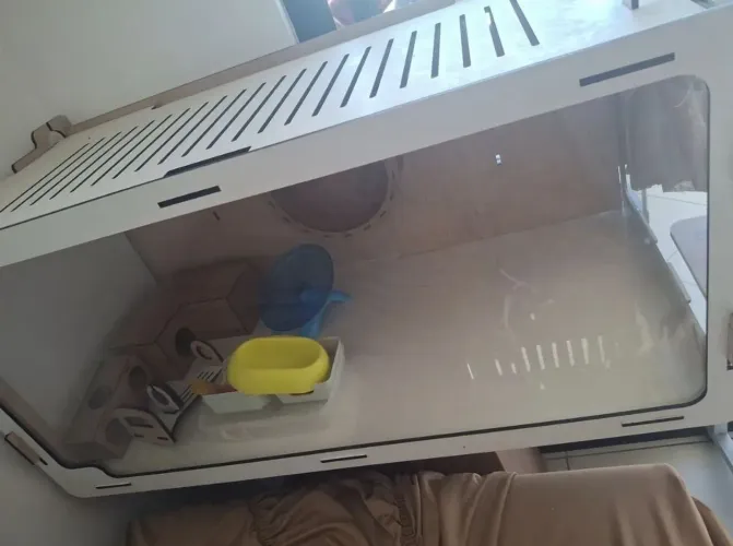 viveiro de madeira mdf para hamster ou porquinho da india + acessórios, semi nova