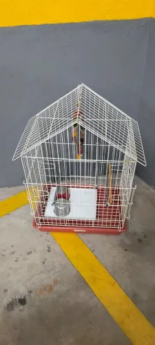 GAIOLA PARA PÁSSAROS - ÓTIMO ESTADO