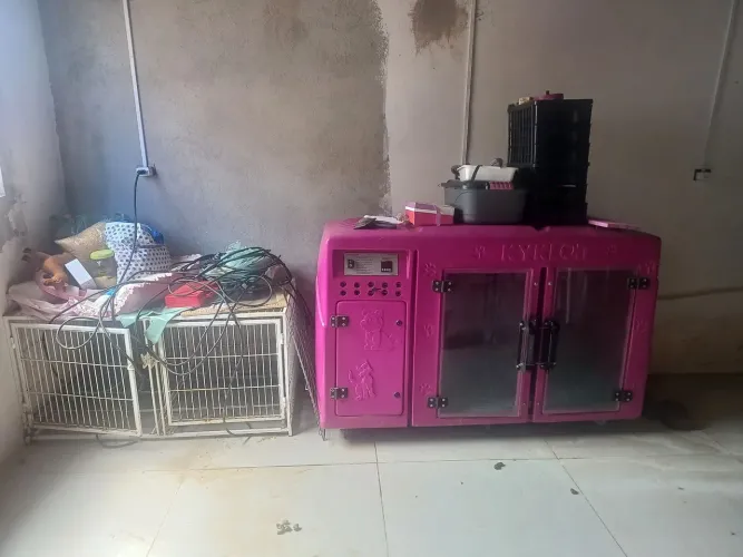 Secador para pet shop Kayklon
