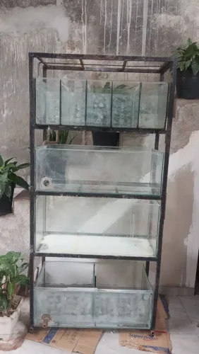 Aquário 