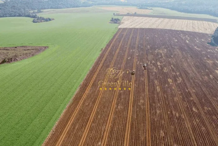 Maringá e Astorga | Fazenda de Alta Produtividade à Venda | 600 Hectares | Terra Roxa |