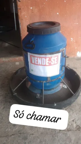 Comedouro suínos 