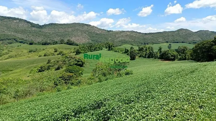 Fazenda de Alta Performance em Três Corações/MG 106ha com Altitude para Café e Grãos