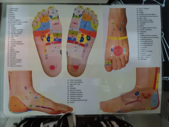 3 Mapas para reflexologia podal pés