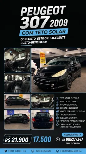 Peugeot 307 Soleil/ Presence 1.6/1.6 Flex 16V 5P 2009