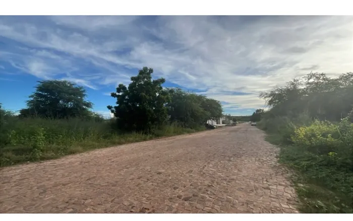Vendo 2 lotes de terrenos 10/30 cada.