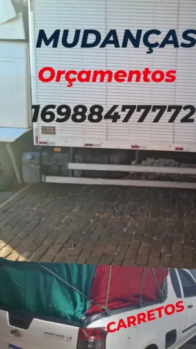 Profissional mudanças