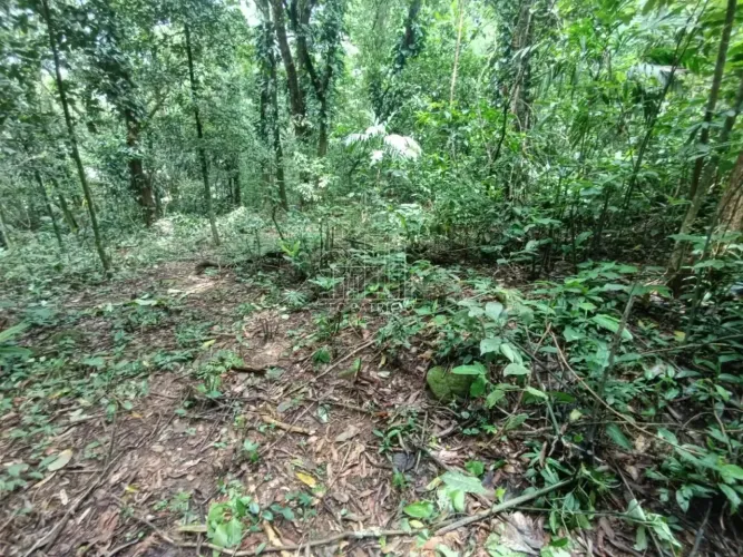 TERRENO À VENDA NO CONDOMÍNIO ALPHA II GUAPIMIRIM/RJ
