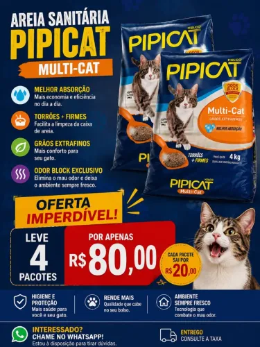 AREIA DE GATO