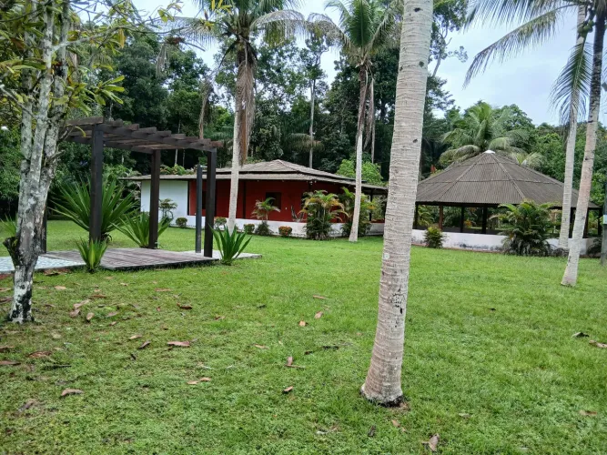 Vende-se sítio na estrada de Novo Airão km 67