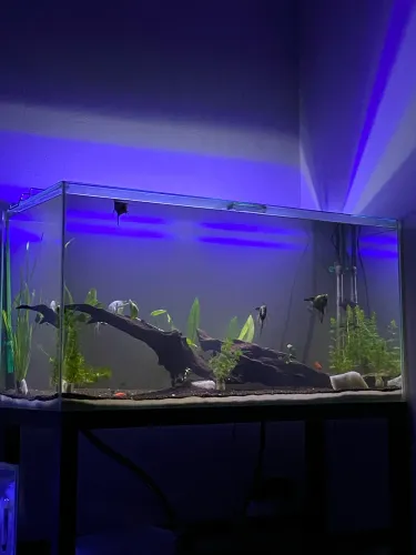 Aquário completo 200 litros