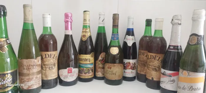 Vinhos velhos 12 garrafa tudo por 120 reais