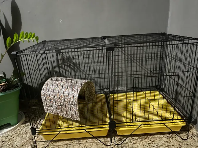 GAIOLA PARA PORQUINHO DA ÍNDIA/COELHO/ROEDORES