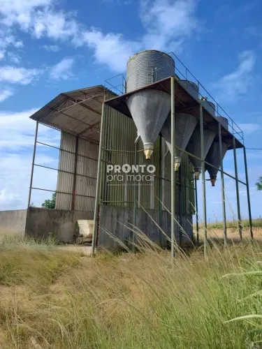 FAZENDA para venda tem 265 metros quadrados com 4 quartos