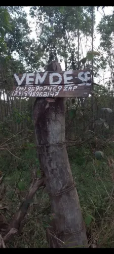 Terreno 17 tarefas, próximo a BR 101 próximo a fábrica da Brahma,com nascente