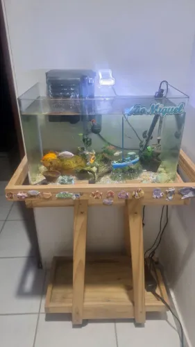Aquario vidros Curvos e Base de Madeira R$ 400,00
