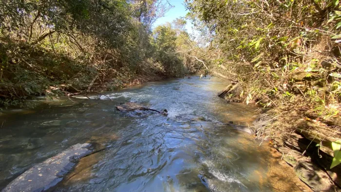 Chácara de 20mil mt cercada e com rio passa 4 no fundo 