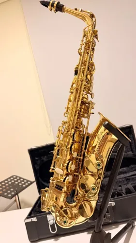 Saxofone Alto Eagle Sa 501 Laqueado Mib Sa501 (Usado)